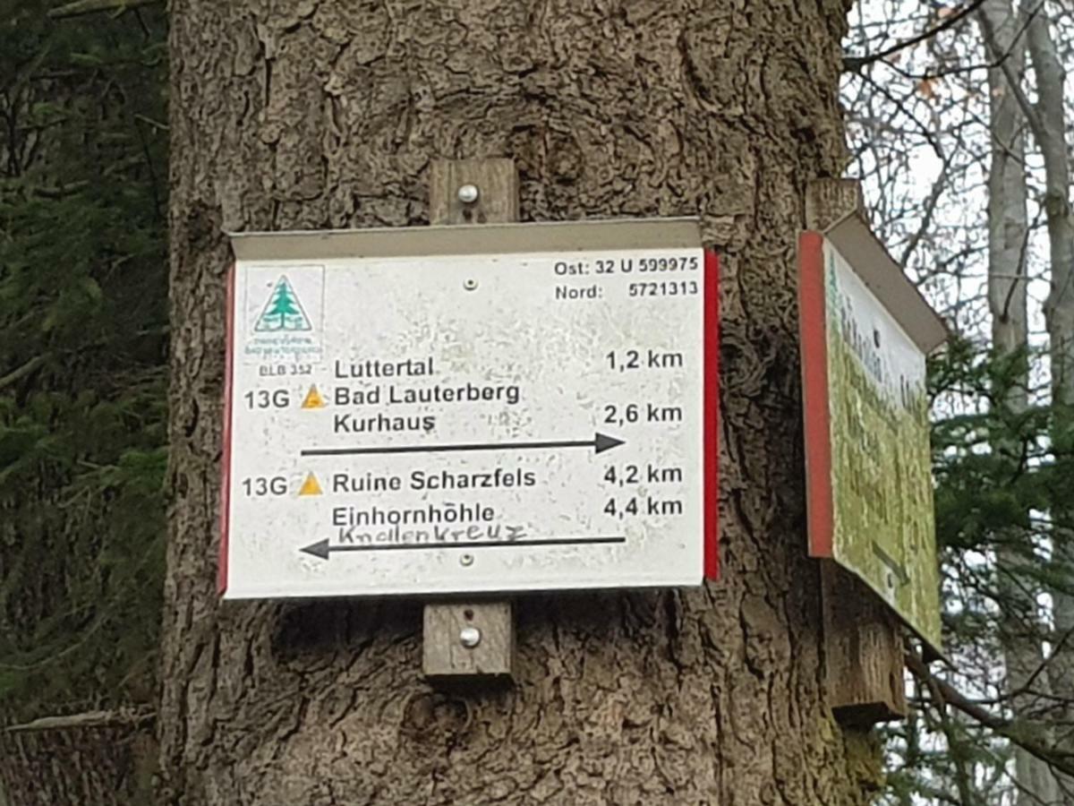 Ferienwohnung "Hagebutze" Mit Sauna Und Schwimmbad Bad Lauterberg Kültér fotó