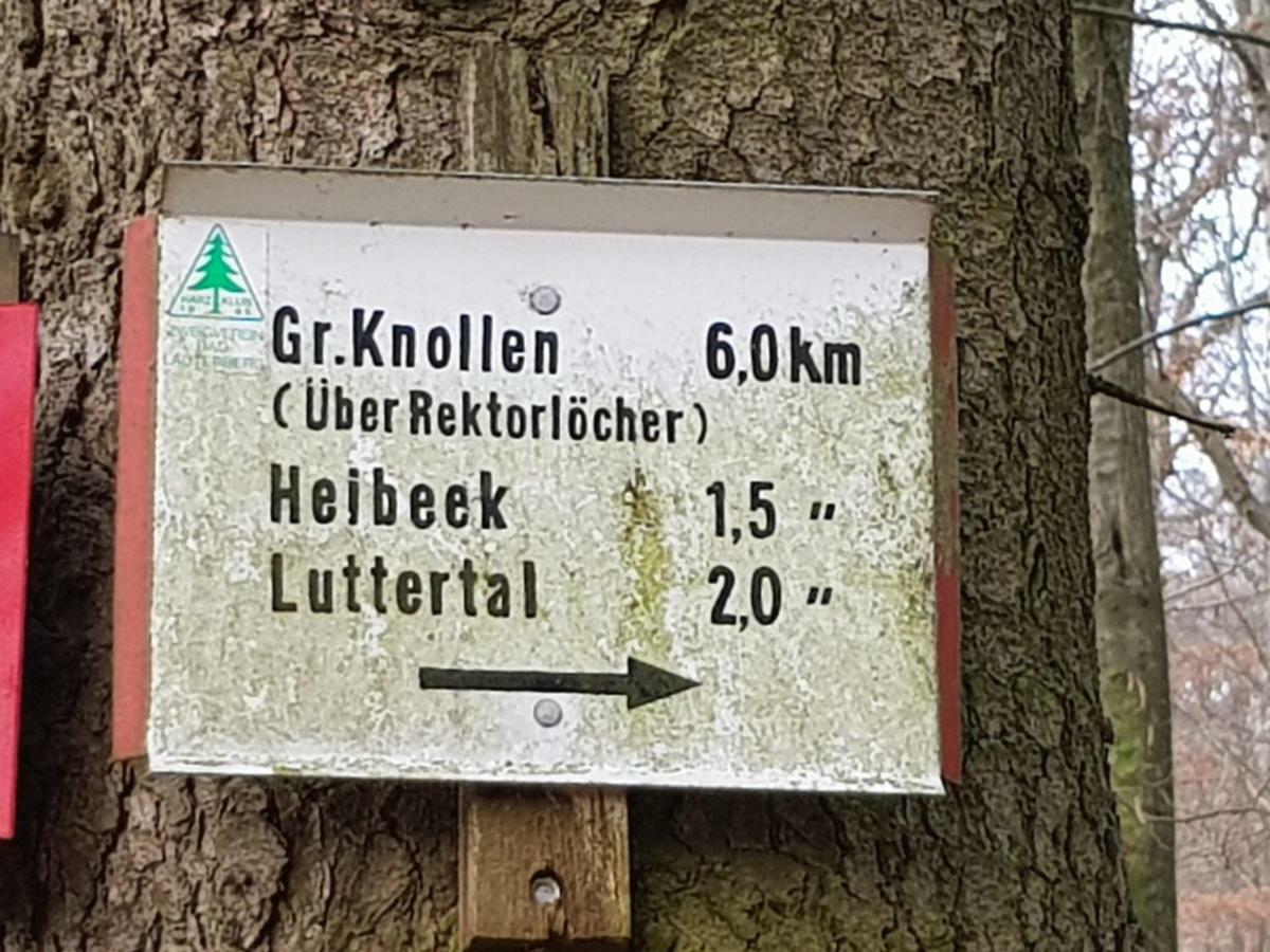 Ferienwohnung "Hagebutze" Mit Sauna Und Schwimmbad Bad Lauterberg Kültér fotó